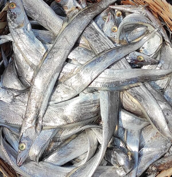 Vala Karuvadu Dry Rippon Fish250 gms