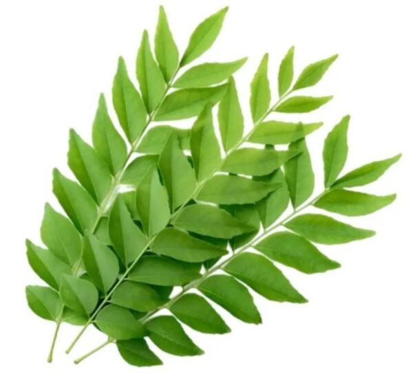 Curry leaves/Karuveppilai 100gms